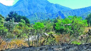 Reabren los parques La Amistad y Volcán Barú