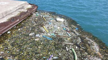 Científicos calculan que al año se vierten 8 toneladas de plástico al mar