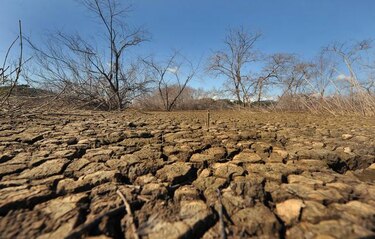 Calentamiento global podría incrementar conflictos entre humanos