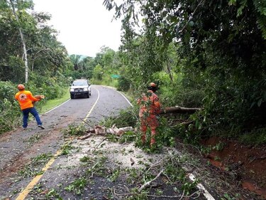 Deslizamientos de tierra y caída de árboles en Herrera