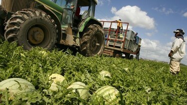 Zona franca en La Arena, Chitré, costará unos $30 millones