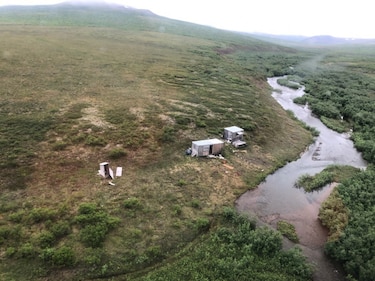 Rescatan a hombre que resistió durante una semana el acoso de un oso en Alaska