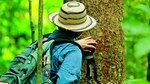 Turismo al natural