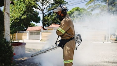 Cuatro de cada 10 casos de dengue ocurren en Colón