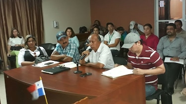 Emplazan a Miambiente para que aplique sanciones por tala de manglares
