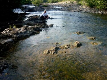 Anam: 92% de la cuenca del río La Villa está deforestada