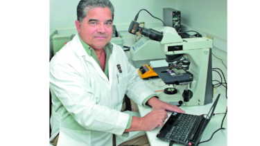 Estudian antígenos contra ‘P. vivax’, causante de malaria