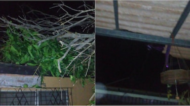 Varias viviendas afectadas por ráfagas de viento en Bello Horizonte