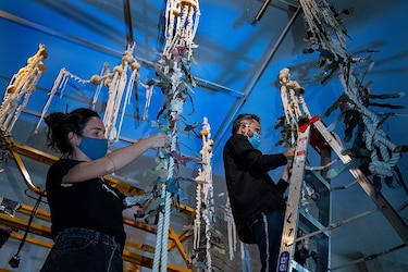 Arte y ciencia se unen en Costa Rica para retratar el cambio climático