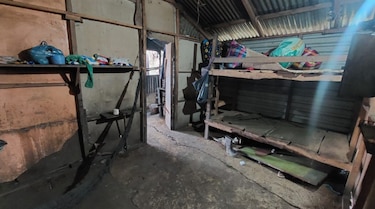 La tragedia de los niños panameños que mueren entre los cafetales de Costa Rica