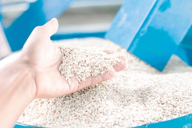 Productores de arroz alertan sobre alza de costos por aumento del combustible