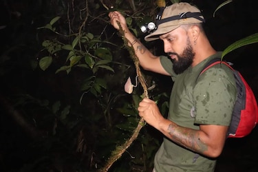 ¿Sabía que Panamá alberga plantas carnívoras únicas en el mundo?