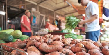 Washington reconoce avance en biofortificados