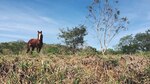 La Isleta, un lugar para admirar la naturaleza