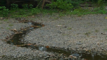 Plantean la construcción de dos grandes represas en Azuero