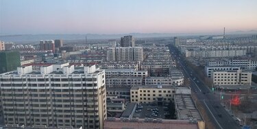 China emite alerta por regreso de la peste bubónica, se registra caso en Mongolia