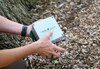Cómo los cantos de los saltamontes amplían los conocimientos de los investigadores sobre los insectos tropicales