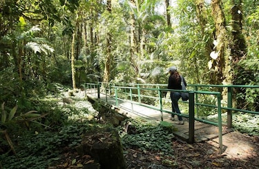 Parque La Amistad, en lista de sitios en peligro