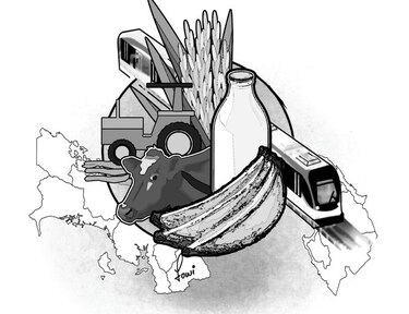 La tecnificación del agro