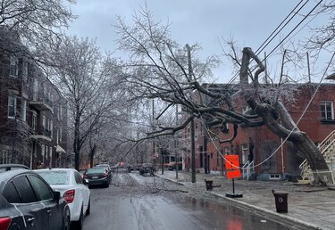 Tormenta de hielo deja sin electricidad a casi 600 mil hogares en Canadá