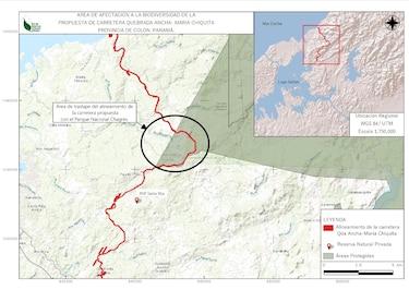 CIAM: ‘carretera entre Quebrada Ancha y María Chiquita pone en riesgo la biodiversidad’