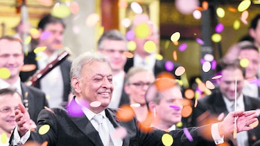 Cámara vienesa recibe el año