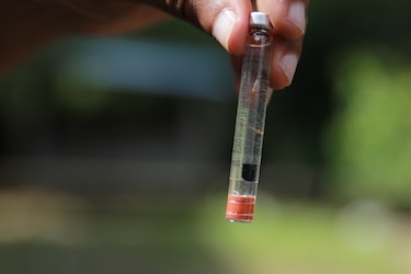 Casos de dengue en 2024 superan récord histórico en las Américas