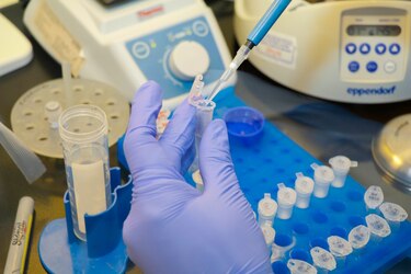Instituto Gorgas confirma ‘científicamente’ primer caso de reinfección en Panamá
