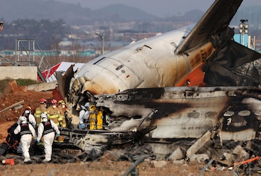Los investigadores del accidente de avión en Corea del Sur confirman restos de plumas en los motores del avión