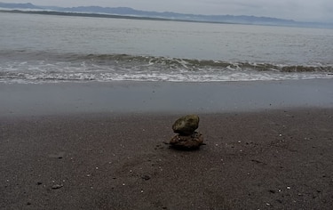 Efectos tras la alerta de tsunami en el Pacífico panameño: reportes dentro de lo esperado  