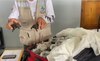 Descubren una maleta con 185 tortugas en el aeropuerto de Galápagos