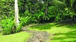 Conexión con la naturaleza