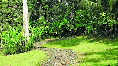 Conexión con la naturaleza