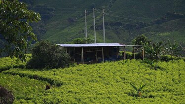 La carrera tecnológica de los narcos en Colombia para que el negocio de la cocaína sea más rentable