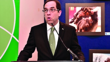 BNP supera $10,400 millones en activos