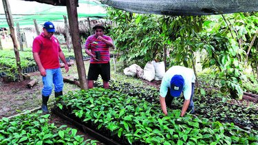 Los frutos de la cuenca