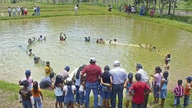 La evolución de la granja Las Gaitas