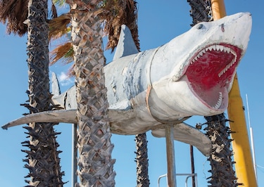‘Tiburón’ se instala en el museo de los Oscar