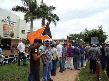Productores santeños advierten que paralizarían Divisa