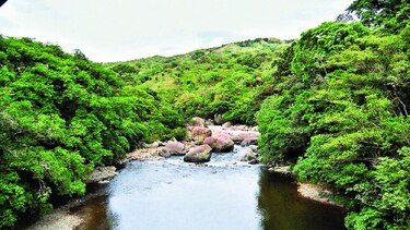 Parque eólico en zona protegida de Veraguas