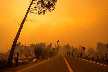 Chile pide ayuda contra fuego a México, Brasil, Argentina, Uruguay y España