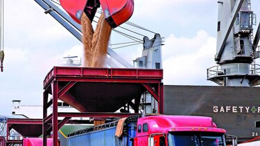 Proyectan caída en el agro