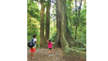 Acaba consulta sobre manejo del parque Soberanía