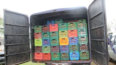 Aduanas retiene 8 mil 750 libras de tomate de presunto contrabando en Chiriquí