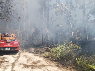 Dónde arde más Panamá: los puntos críticos de incendios forestales en 25 años