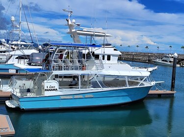 Activan servicio de ferry entre Amador y San Carlos dos veces a la semana