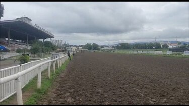 Fallece jinete que estaba en cuidados intensivos tras accidente en el Hipódromo