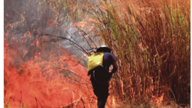 Ministerio de Ambiente alerta de una temporada seca severa