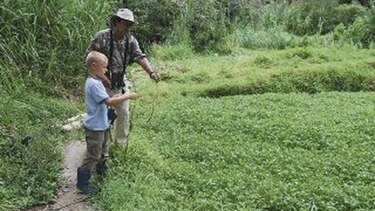 Revisarán fincas agroturísticas en Coclé