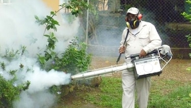 Ministerio de Salud investiga una muerte por dengue en San Miguelito
